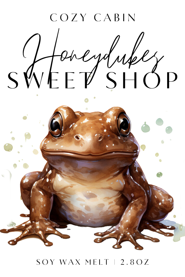 Honeydukes Sweetshop