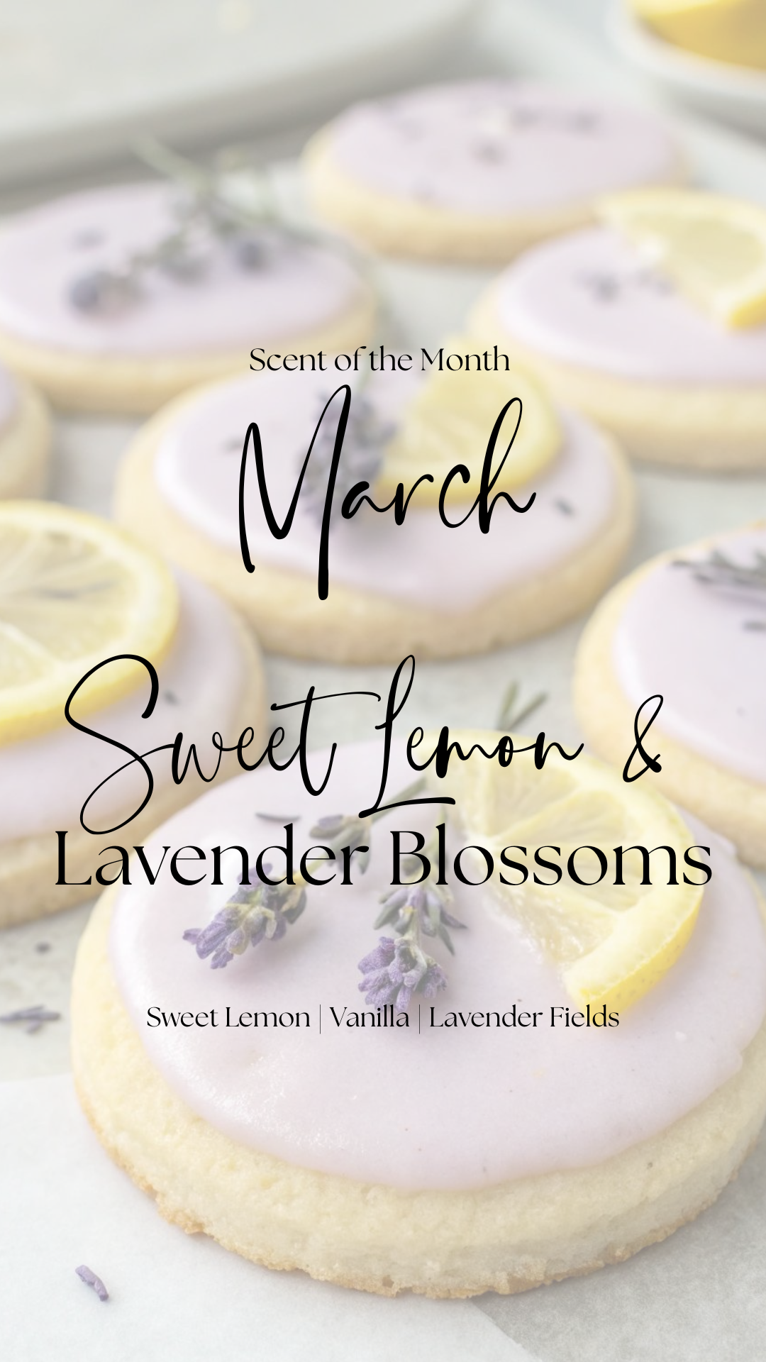 Scent of the Month
