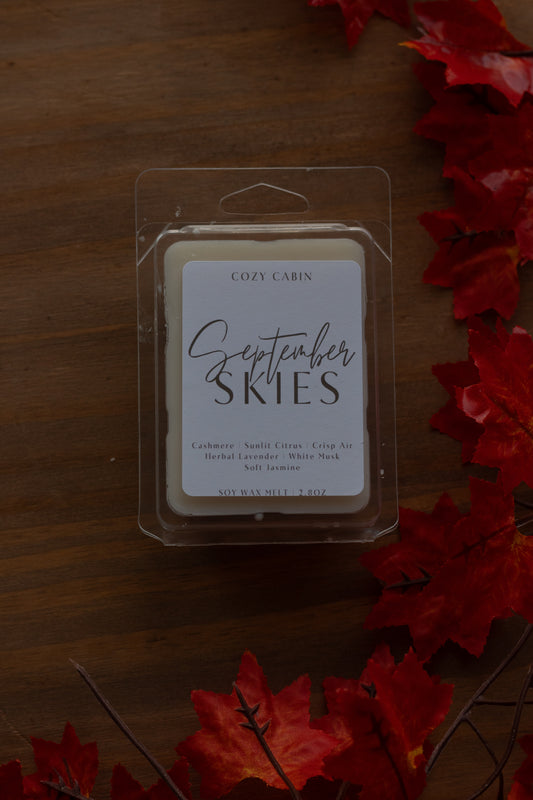 September Skies Wax Melt