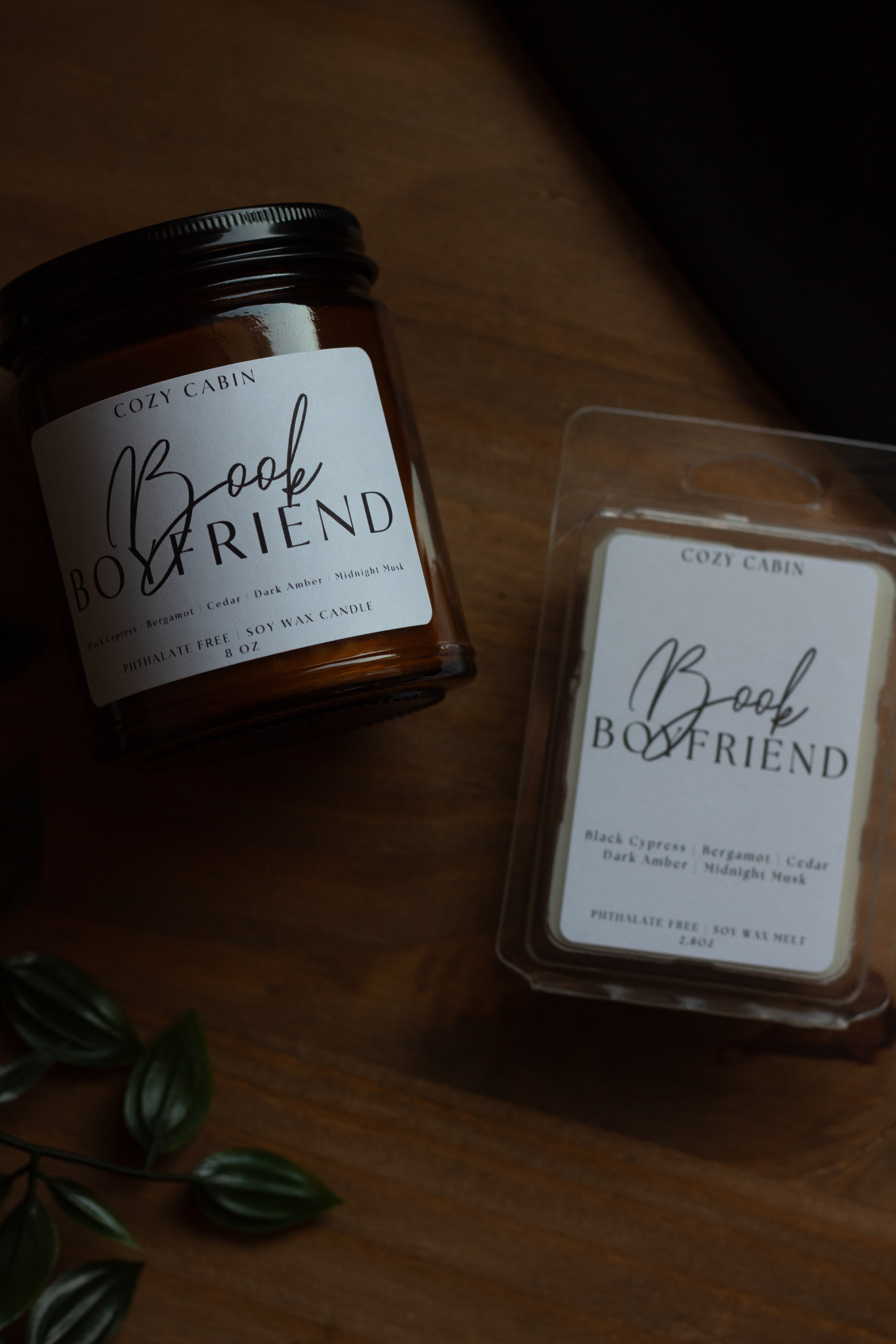 Book Boyfriend