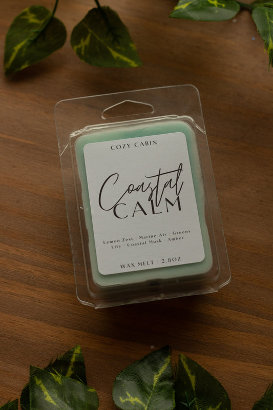 Coastal Calm Wax Melt