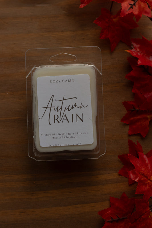 Autumn Rain Wax Melt